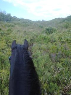 Heavenly Stables Self Catering Accommodation - 9