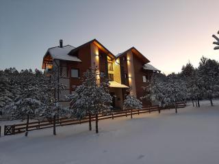 Vila Nordika Tornik - Tornik - 9