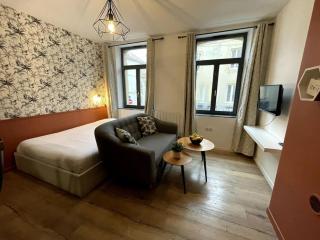 Magnifique studio Metz Coeur Historique - 7