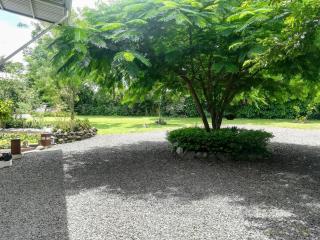 Hotel Pibi Boreal - Alajuela - 3