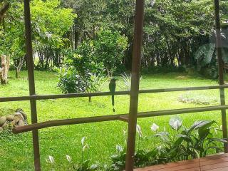 Hotel Pibi Boreal - Alajuela - 5