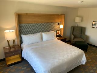 Holiday Inn Baton Rouge-South by IHG - 4