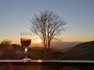 Ivkovic spa Milmari N16 - 1