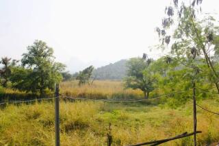 Ivy Maitri Farm 3 Bhk with Private Pool - Badlapur - Badlapur - 7