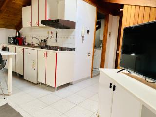 casa dei leoni - Aosta - 3