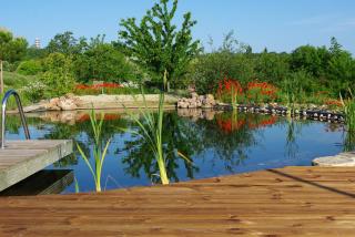 Le Hameau des Coquelicots - Damazan - 4