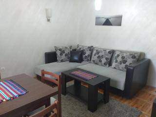 Apartmani Jokic - Zlatibor - 3