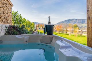 Alm-Chalets-Samerberg - 1