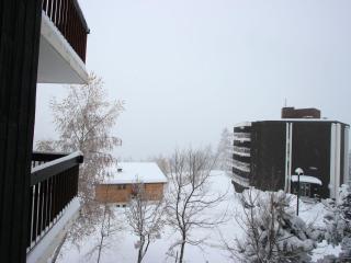 Appartement spacieux 2 chambres avec balcon à Chamrousse, proche pistes - FR-1-340-246 - Chamrousse - 2