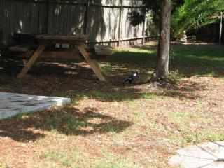 Horace Street 8 - Shoal Bay - 1