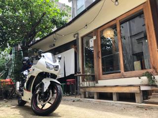 おとまち 甘藍 Otomachi Kanran - Kure - 3
