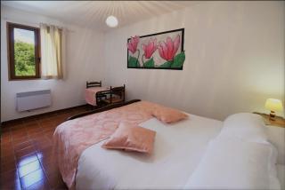 Hotel Monte d'Oro - Vizzavona - 5