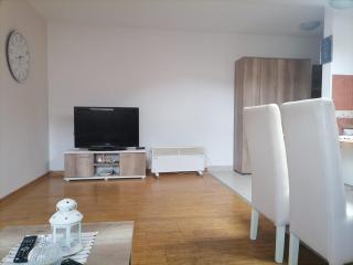 Apartman Savic - Vrnjačka Banja - 8