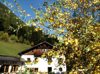 Hotel Gasthof Stuibenfall - Niederthai - 2