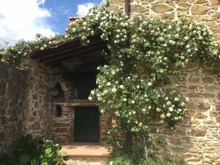 San Lorenzo - Monte San Savino - 1