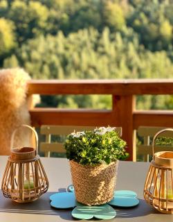 Les Lucioles - Charming flat in the mountains - Saint-Jean-de-Sixt - 4