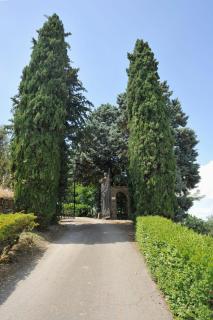 Il Poggiolo - Monte San Savino - 5