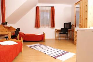 Liszt Apartman - Pécs - 9