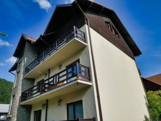 Casa Amurg - Sinaia - 9