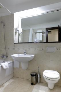 Atrium Hotel Ateneu City Center - Bucharest - 5