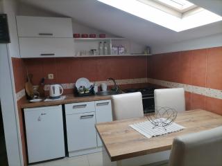 Apartman Savic - Vrnjačka Banja - 5