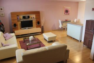 Holiday House - Orange Antik 112 Lipno Home - Lipno nad Vltavou - 7