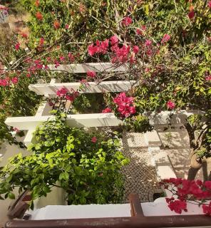 Parfum de la Mer - 6