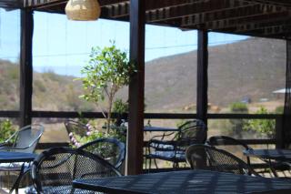 Viñas del Castillo - Ensenada - 6