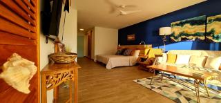 Charm and sea, large studio designed by architect - Cul de Sac - 1