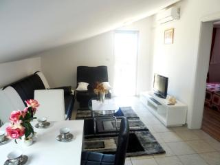 Apartments Villa Excellente Belvedere - 1