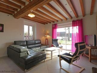 Maison de charme avec grand jardin, 4 chambres, 3 salles de bain, garage, WiFi, cheminée et terrasse - FR-1-497-115 - Saint-Denis-de-Villenette - 5