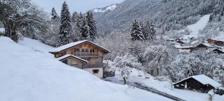 Appartement Borne - Saint-Jean-d'Aulps - 8