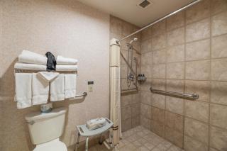 Cozy Pet-Friendly King Studio in Mt, Crested Butte condo - 5