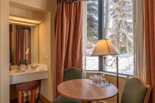 Cozy Pet-Friendly King Studio in Mt, Crested Butte condo - 1