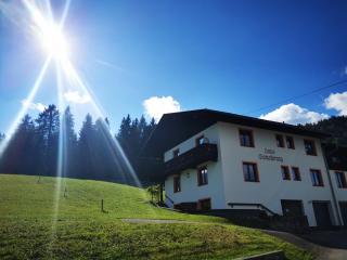 Haus Gamssprung - Steinberg am Rofan - 8