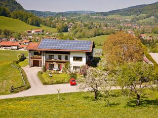 Ferienwohnungen Plenk inkl. Chiemgaukarte - Ruhpolding - 0