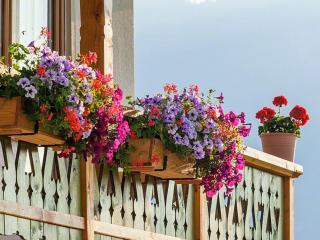 Ferienwohnung Roislerlehen - 1