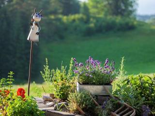 Ferienwohnung Roislerlehen - 4