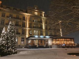 Parkhotel du Sauvage - Meiringen - 5