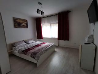 Mario Apartament regim hotelier - Reşiţa - 7