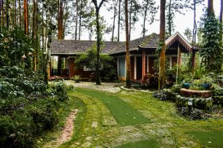 Coffee Grove Resort - 3