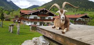 Gästehaus Hinterponholz - Ramsau - 2