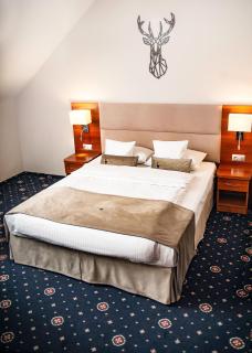 ParkHotel Łysoń - Inwałd - 3