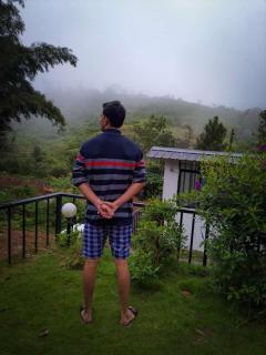 Mist WOODS VAGAMON - Vagamon - 1