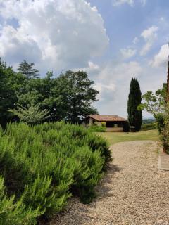 Fattoria Agriturismo Nerbona - 7