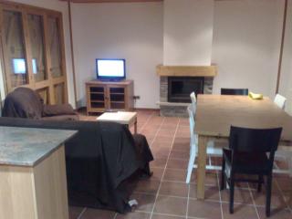 Apartment in Llavorsi in the heart of the Catalan Pyrenees - Llavorsí - 0