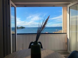 Apartment Privlaka direkt am Strand mit Klima und neuem Badezimmer Haustiere sind willkommen - Privlaka - 0