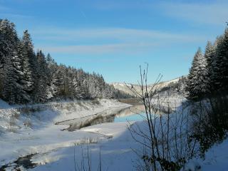 La Fortance Paradis Naturel - Proche de la ville - Planfoy - 9