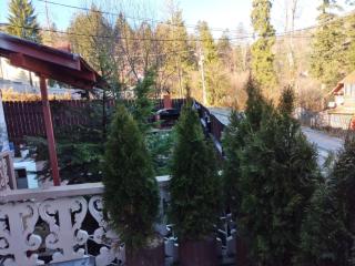 Vila TANIA - Predeal - 5