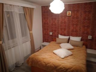 Vila TANIA - Predeal - 9